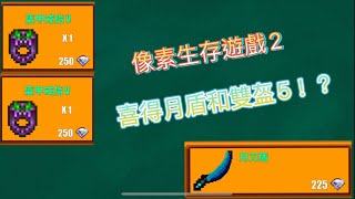 像素生存遊戲2-喜得雙盔5和月刀盾