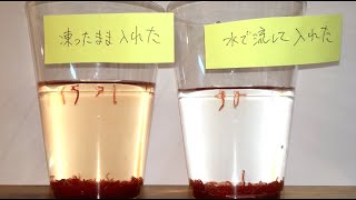 冷凍赤虫は水をどれくらい濁す？簡単な対処法は？