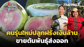 คนรุ่นใหม่ปลูกฝรั่งเงินล้าน ขายต้นพันธุ์ส่งออก | ทุกทิศทั่วไทย | 19 ธ.ค. 67