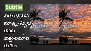 Subtle (నిగూఢమైన, సూక్ష్మ/స్వల్ప,  కపట, జిత్తులమారి, కుటిల)