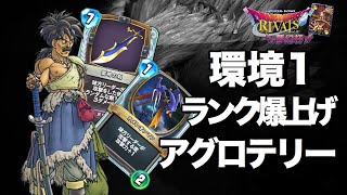 【ドラクエライバルズ】環境を荒らす！高勝率！アグロテリー！！【DQR】