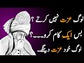 20 life lesson from Maulana Rumi | Maulana Rumi Urdu Quotes | Rumi Quotes I Rumi words I Motivation