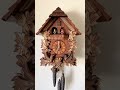 Birds in the Nest musical cuckoo clock. Plays edelweiss and Der Froliche Wanderer.