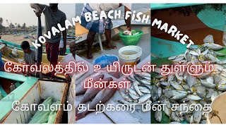 kovalam beach||best live fishes|| Near mamalapuram