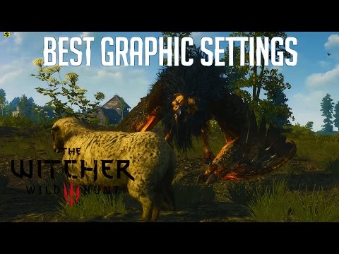 The Witcher 3 Tweak Guide, Best Graphics Settings to Improve Performance – Royal Griffin Boss Fight