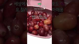 식단기록 Day6 #식단일기 #식사일기 #vlog #diet #다이어트 #dietfood #minivlog #식단기록 #다이어트일기 #다이어트요리