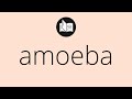 What AMOEBA means • Meaning of AMOEBA • amoeba MEANING • amoeba DEFINITION