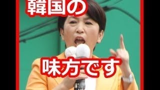 国会で日本人が激怒する反日福島みずほ！日本に喧嘩を売った国連を代弁する売国奴！