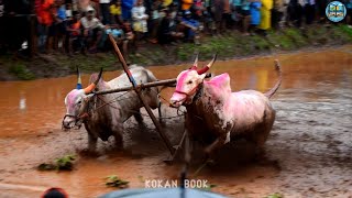 पालवण नांगरणी स्पर्धा 2024 घाटी गट | kokan book