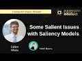 Some Salient Issues with Saliency Models | AISC