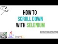 How scroll down with Selenium l Advanced Selenium Tutorial