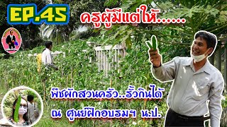 ครูวินัย-พา-ไป-ดู EP.45 ครูผู้มีแต่ให้...เก็บถั่วพลูพืชผักสวนครัวที่ศฝ.นป.##ศูนย์ฝึกอบรมนาคประสิทธิ์