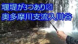 堰堤3つで思わず竿を出したくなる、奥多摩川支流入川谷