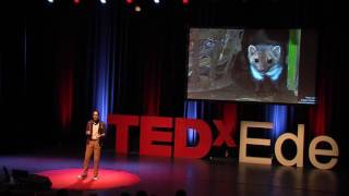 Why you should love carnivores | Tim Hofmeester | TEDxEde