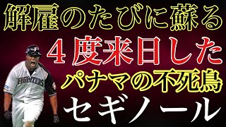 【フェルナンド・セギノール】ヤンキース時代の恩師トレイ・ヒルマンの助言でスイッチヒッターに転身してメジャー昇格　日本でも本塁打王になる活躍を見せた助っ人は何度も立ち上がり４度来日を果たしたパナマの大砲