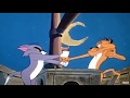 Tom and Jerry Cartoon funny Episode |Two Cat fight