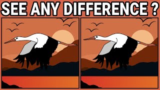 🧠💪🏻 Spot the Difference Game | How Many Different Spots Do You See? 《Easy》