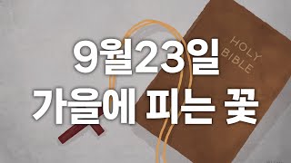 [CBS 매일 말씀묵상_9월23일] \