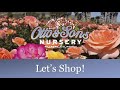 🌹 Otto & Sons Nursery Garden Tour of HUGE Rose Blooms & Varieties