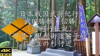 ❖戦国武田氏紀行❖ 武田勝頼公・武田信勝公〔逃避行伝説〕〔甲斐・旧甲州街道笹子峠〕(矢立の杉付近)