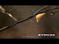 Sync24 - Something Something | Chill Space