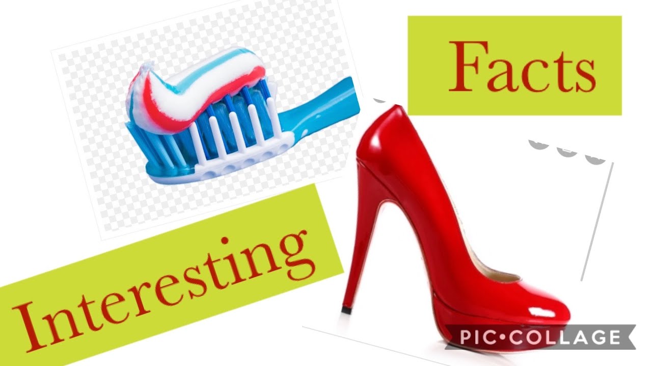 Interesting Facts Youtube