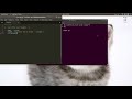 6. User Input in for loop