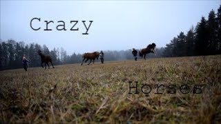 Crazy Horses | 27.01.18