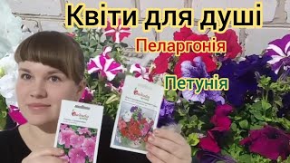 З міста завжди з пакетом.Сію квіти на розсаду.Цибуля ЕКСІБІШІН з насіння.