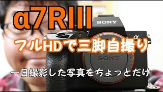 SONY α7RIII で一日撮影してみた感想など！　α7RⅢ のフルHDで録画しました！