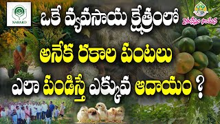 దేశీయ విత్తనాల రైతు శ్రీనివాస్ వ్యవసాయ క్షేత్రాన్ని చూడండి, రండి, ఇలా చేద్దాం | RNF- NABARD