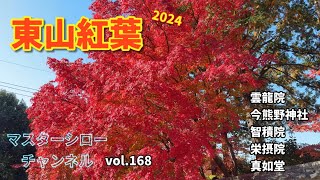 vol.168 東山紅葉2024