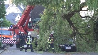 Großer Ast auf PKW - Feuerwehrkran im Einsatz in Bonner Südstadt am 13.06.15