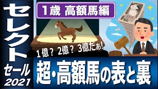 セレクトセール2021　超・高額１歳馬　血統解説編　３億円馬の表と裏　【計算する血統】No.123