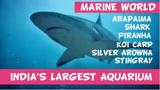 India's Largest Aquarium | A Spectacular Underwater World 🌊🐠 | Aquatic Wonders of India