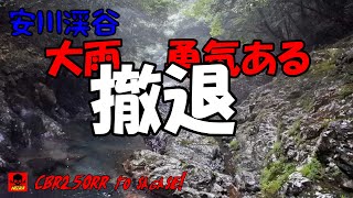 和歌山県田辺市　安川渓谷　雨降りすぎで流石に無理