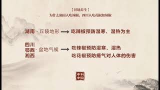 張震脈診---中醫知識分享