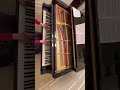 Impromptu by Hugo Reinhold, Op.28 No. 3 (Carrie Lin's Monthly Piano Dairy)