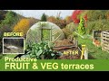 BARREN FIELD to PRODUCTIVE PLOT | Organic fruit & vegetable growing in Mid Wales