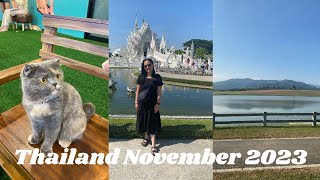 Thailand November 2023 Day 6 | White Temple, Cat Cafe and Singha Park 🇹🇭