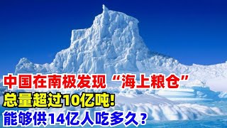 中國在南極發現“海上糧倉”，總量超過10億噸，能夠供14億人吃多久？