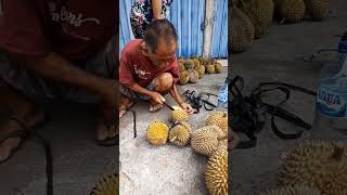 Kakek Penjual Durian