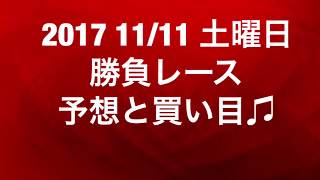 【競馬予想】2017 11/11 土曜日 勝負レース 予想と買い目♫