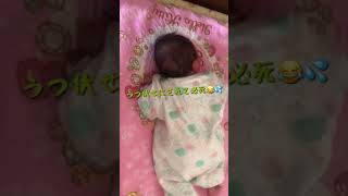 新生児うつぶせ初体験【生後12日】She lies on her face for the first time.