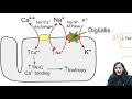 nf100 e40 cvs pharmacology dr nikita nanwani