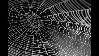 Java How-To : Crawling the Web