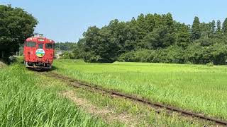 小湊鉄道 キハ40形観光急行 1号 宗谷ヘッドマーク 上総牛久～上総川間 2024/09/08