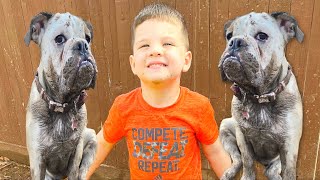 KIDS MUDDY DAY ROUTINE! Caleb & Cute Puppy Play In Muddy Puddles Outside!