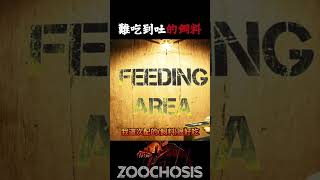 我調得那麼辛苦...你們就這樣給我吐光光喔😡 #zoochosis #癲狂動物園 #恐怖遊戲 #horrorgaming #steam  #shorts #jumpscare