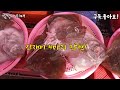 소래포구 수산물 가격 대 폭락 만원 이면 해결 쫌 바뀌었을까요 korean fish market